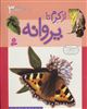 داستان دگرگونی 3/ از کرم تا پروانه