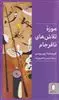 موزه ی تلاش های نافرجام