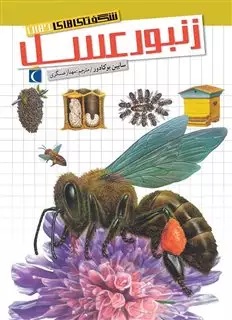 شگفتی های جهان/ زنبور عسل