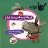قصه های کره الاغ باهوش: کره الاغ و مگس ویژ ویژو