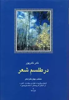 در طلسم شعر:منتخب چهار دفتر شعر