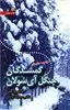 گمشدگان جنگل آی سولان