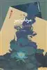 مرداب پیر