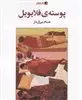 پوسته ی فلایویل