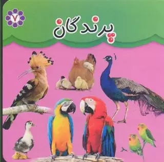 پرندگان