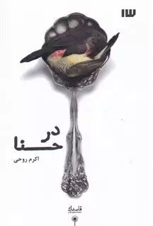 در حنا