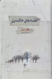خلسه های خاکستری