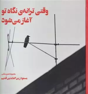 وقتی ترانه ی نگاه تو آغاز می شود