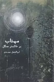 مهتاب بر خاکستر جنگل
