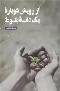 از رویش دوباره یک دانه بلوط