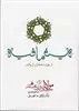 فیه مافیه و پیوست های نویافته