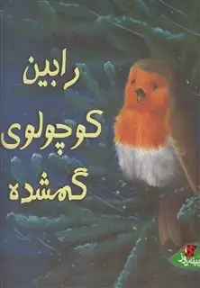 رابین کوچولوی گمشده