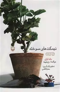 نیمکت های سوخته 1