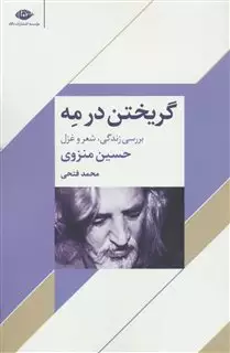 گریختن در مه