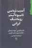 آسیب شناسی ناسیونالیسم رومانتیک ایرانی