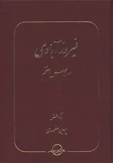 فیروزآبادی در مجلس هفتم