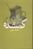 واژه گمشده
