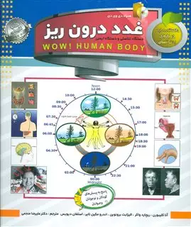 غدد درون ریز