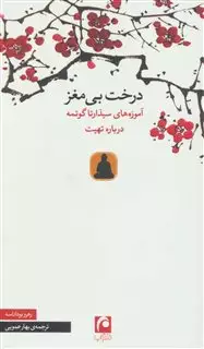 درخت بی مغز