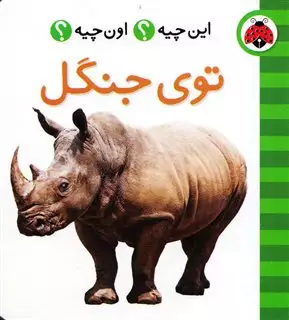 این چیه اون چیه_توی جنگل