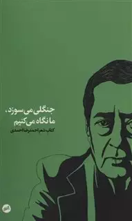 جنگلی می سوزد ما نگاه می کنیم