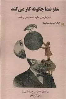 مغز شما چگونه کار می کند