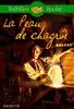 داستان فرانسه La Peau De Chagrin