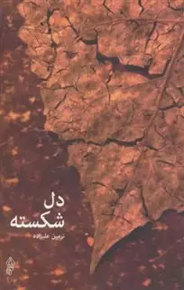 دل شکسته