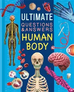 Ultimate Questions & Answers/ Human Body