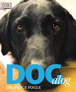 DOG ALOG