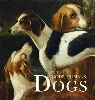 Gods Humans Dogs