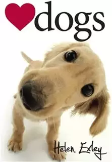 I Love Dogs