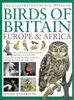 The Illustrated Encycle Of Birds Of Britain
