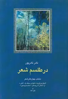 در طلسم شعر/منتخب چهار دفتر شعر