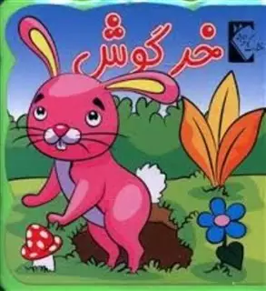 کتاب فومی خرگوش