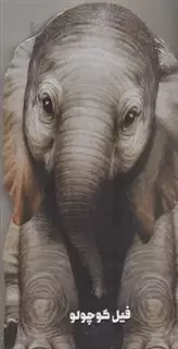 داستان زندگی/ فیل کوچولو