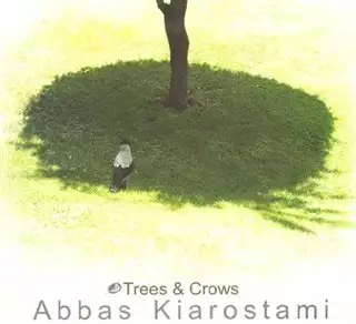 کلاغها و درختها/ Trees and Crows