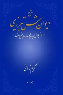 شرح دیوان شمس تبریزی/ جلد دوم