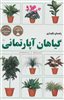 راهنمای نگهداری گیاهان آپارتمانی